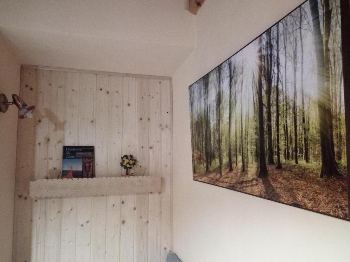 Studio Tarnóc Kültér fotó